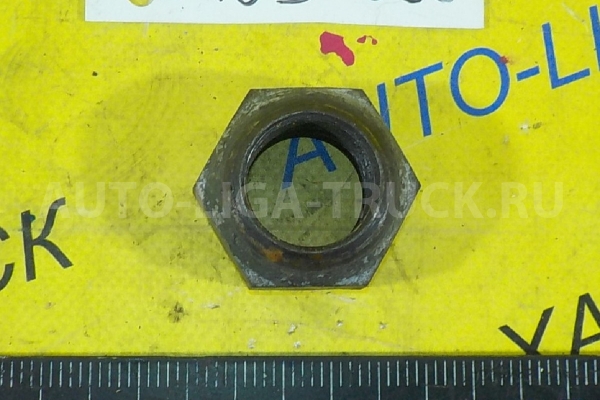 Гайка Isuzu Elf 4HG1 Гайка 4HG1 1999 8-94365-146-0 Гайка Isuzu Elf 4HG1 Гайка 4HG1 1999 8-94365-146-0
