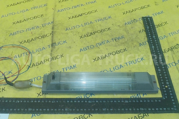 Плафон Isuzu Elf Плафон    D2500-5885