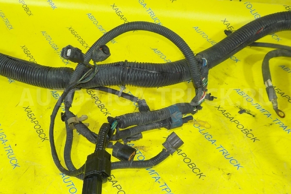 Проводка Mitsubishi Canter 4M51 Электропроводка 4M51 ALT-000316 Проводка Mitsubishi Canter 4M51 Электропроводка 4M51 ALT-000316