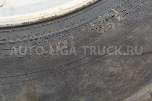 Шина 205/75 R16 113/111L LT Шина 4HL1 2005  R16